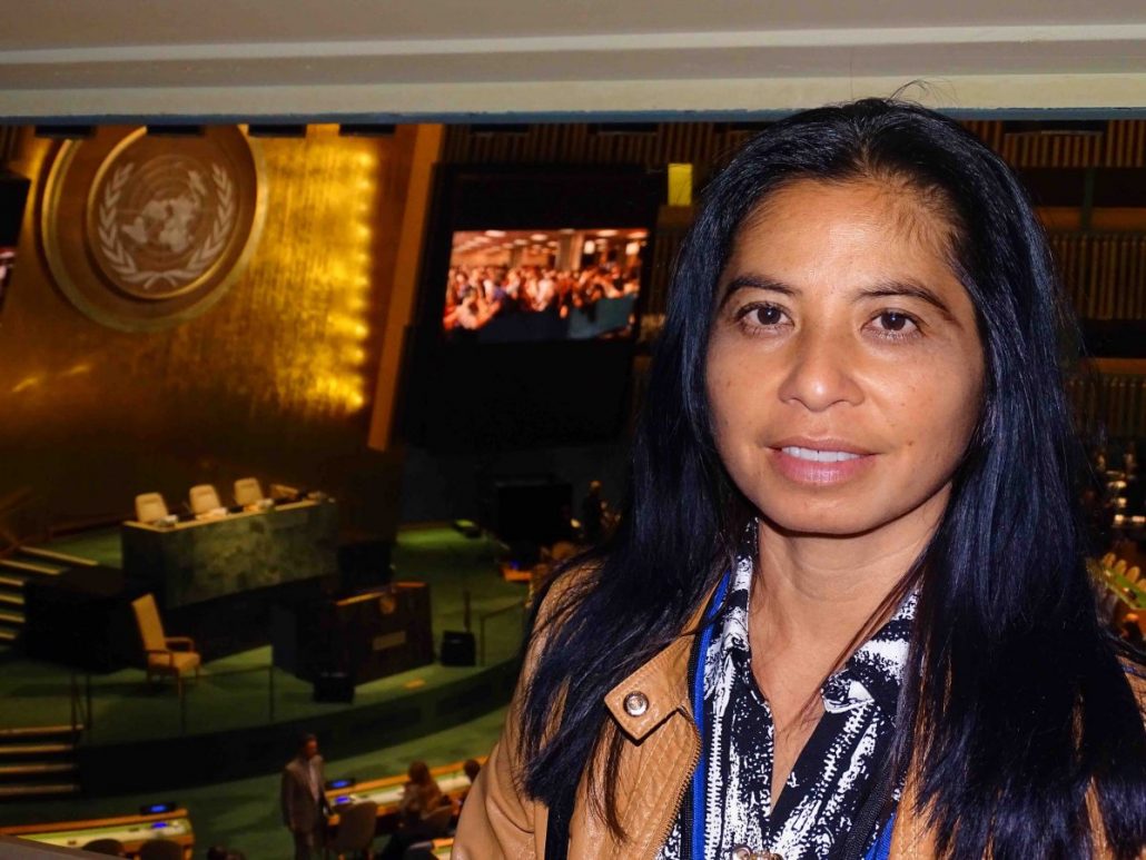 Hang Nguyen at UN