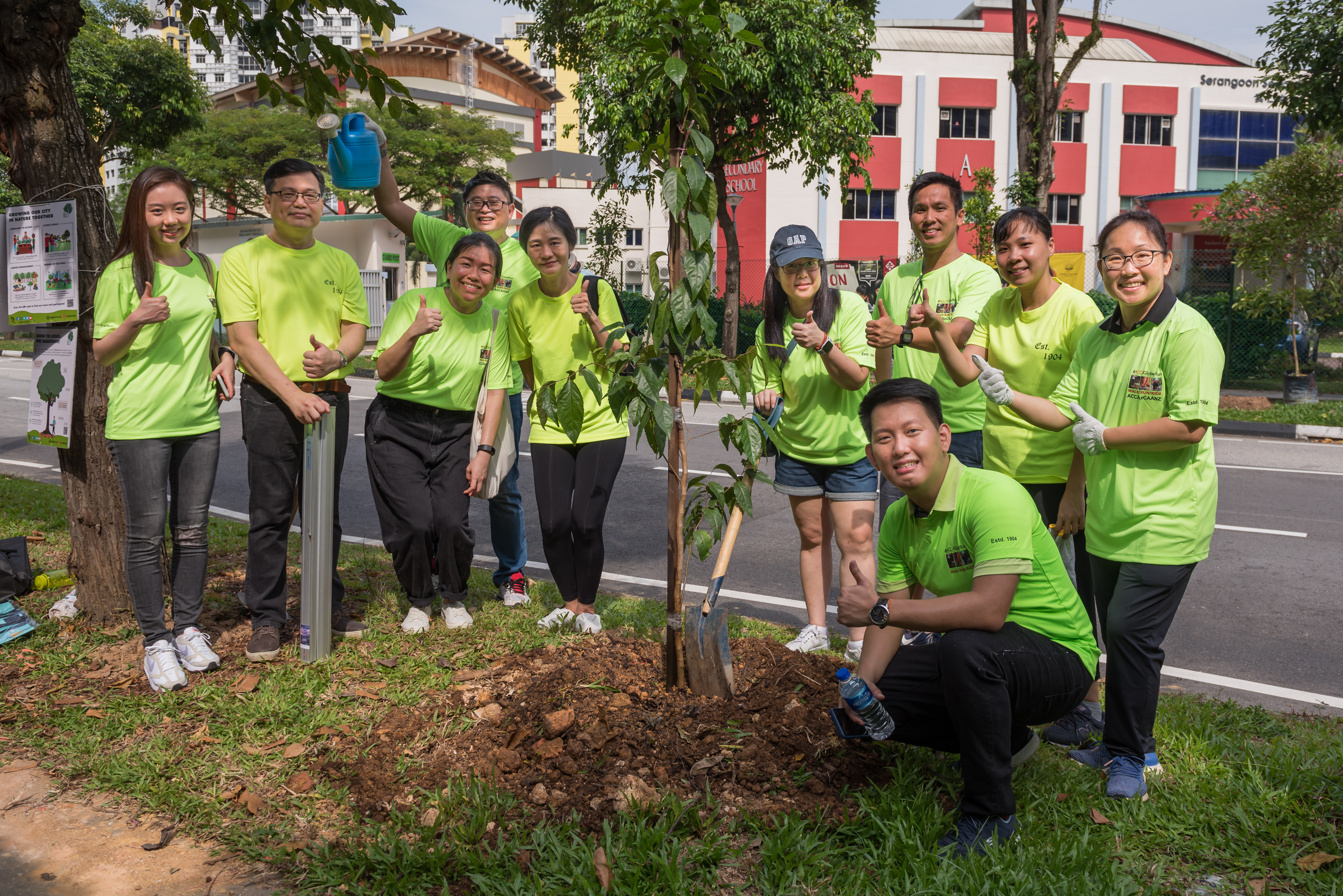 Plant a Tree